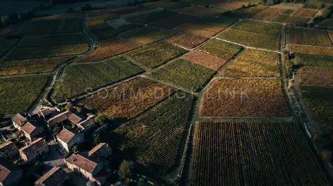Patchwork from above