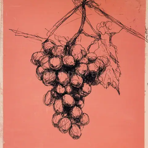 Ink Grapes on Coral