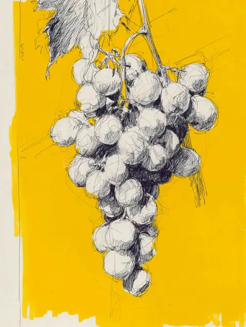 Pencil Grapes on Yellow