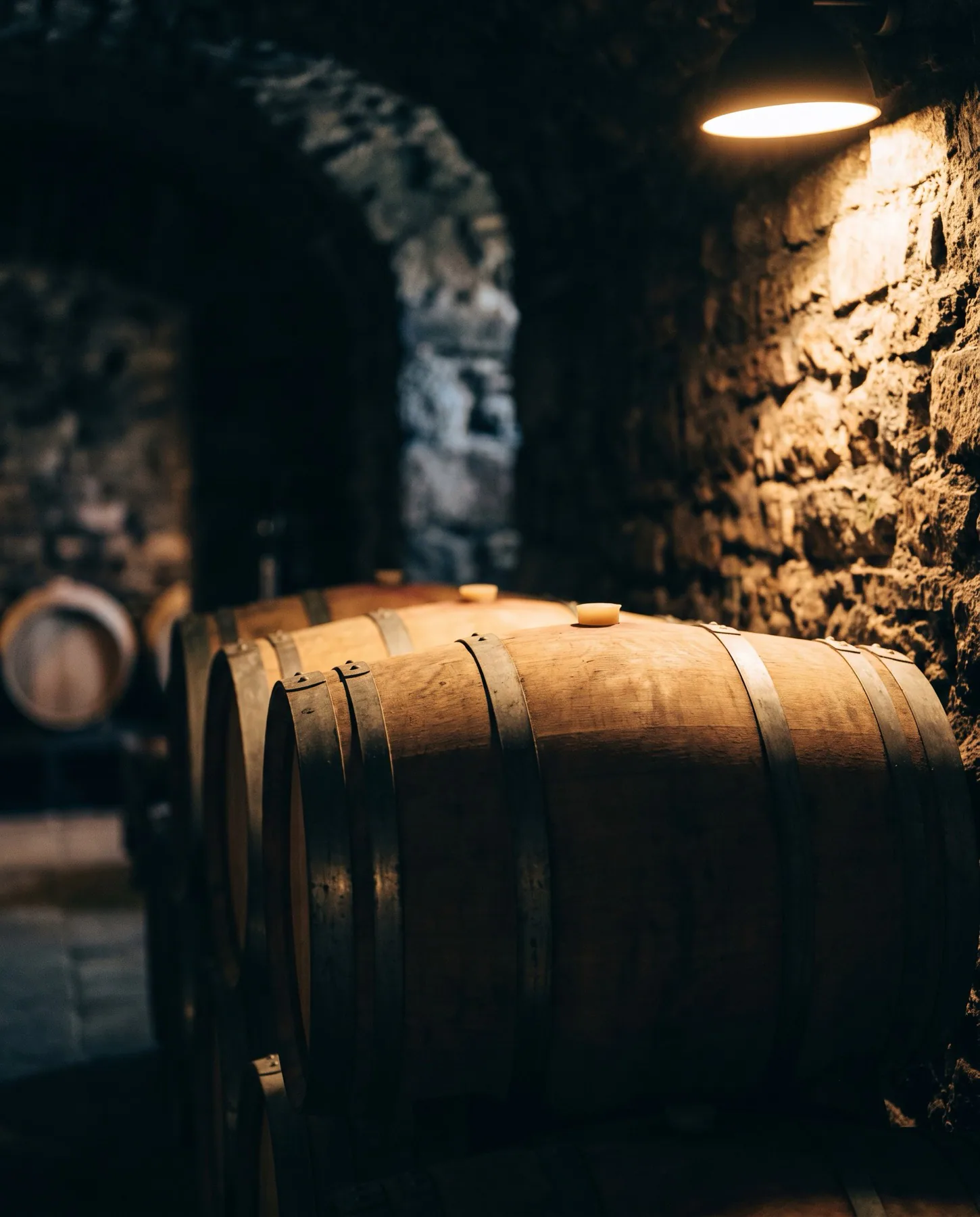 Hollow Oak story