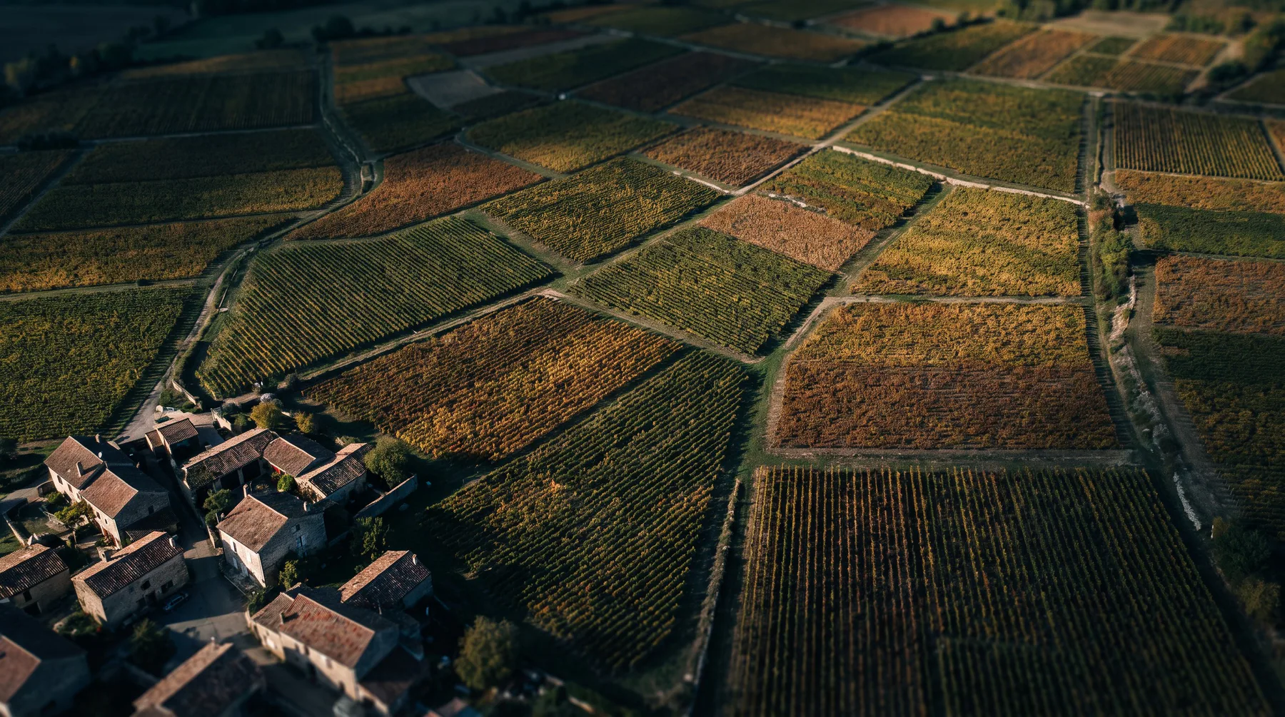 Cantina del Colle cover