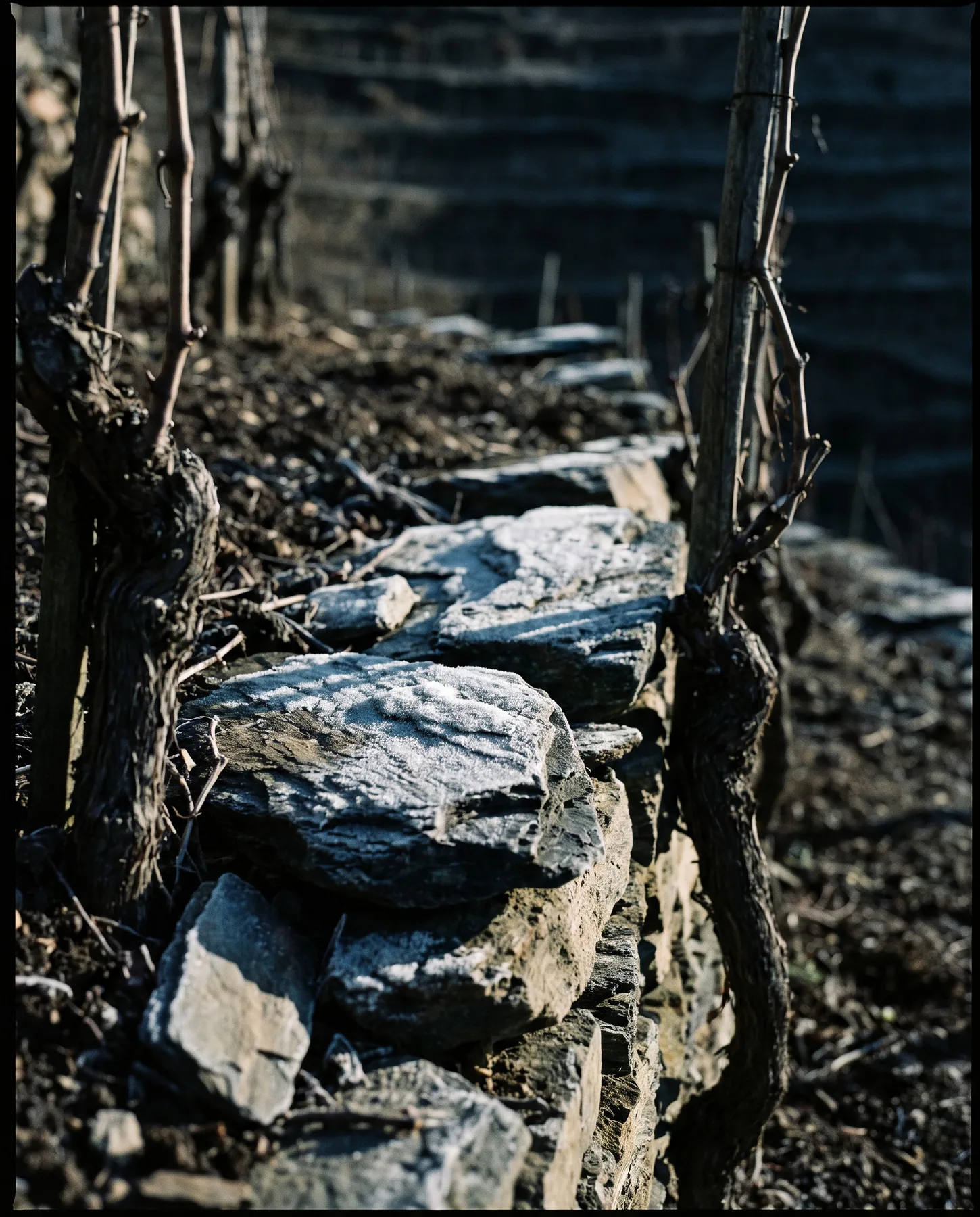 Weingut Nordhang story