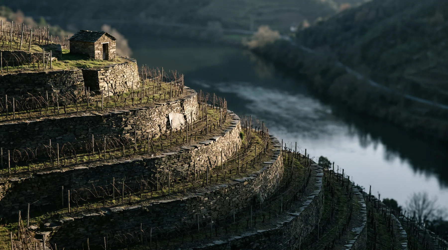 Weingut Nordhang cover