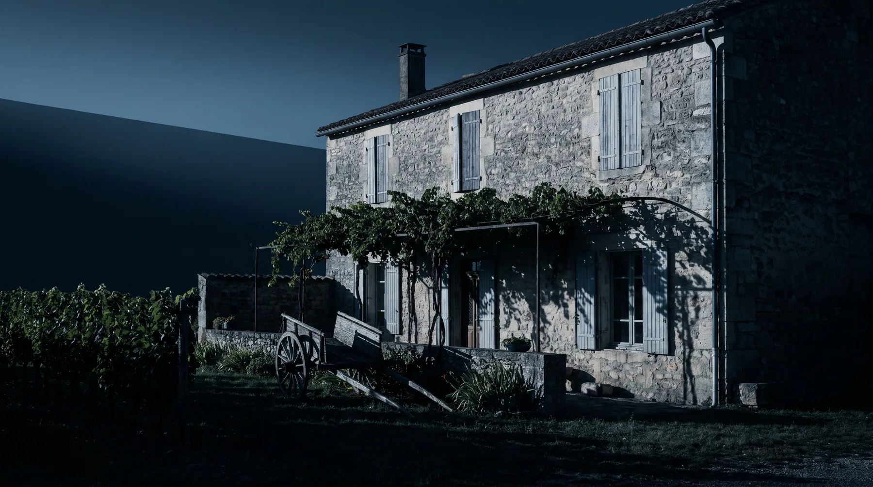 Ferro Vineyards gallery 2