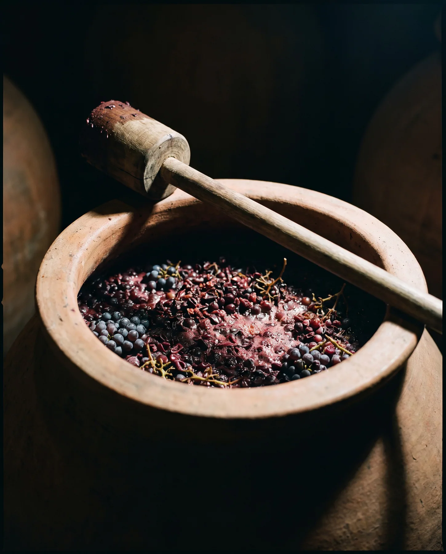 Ferment & Fold story